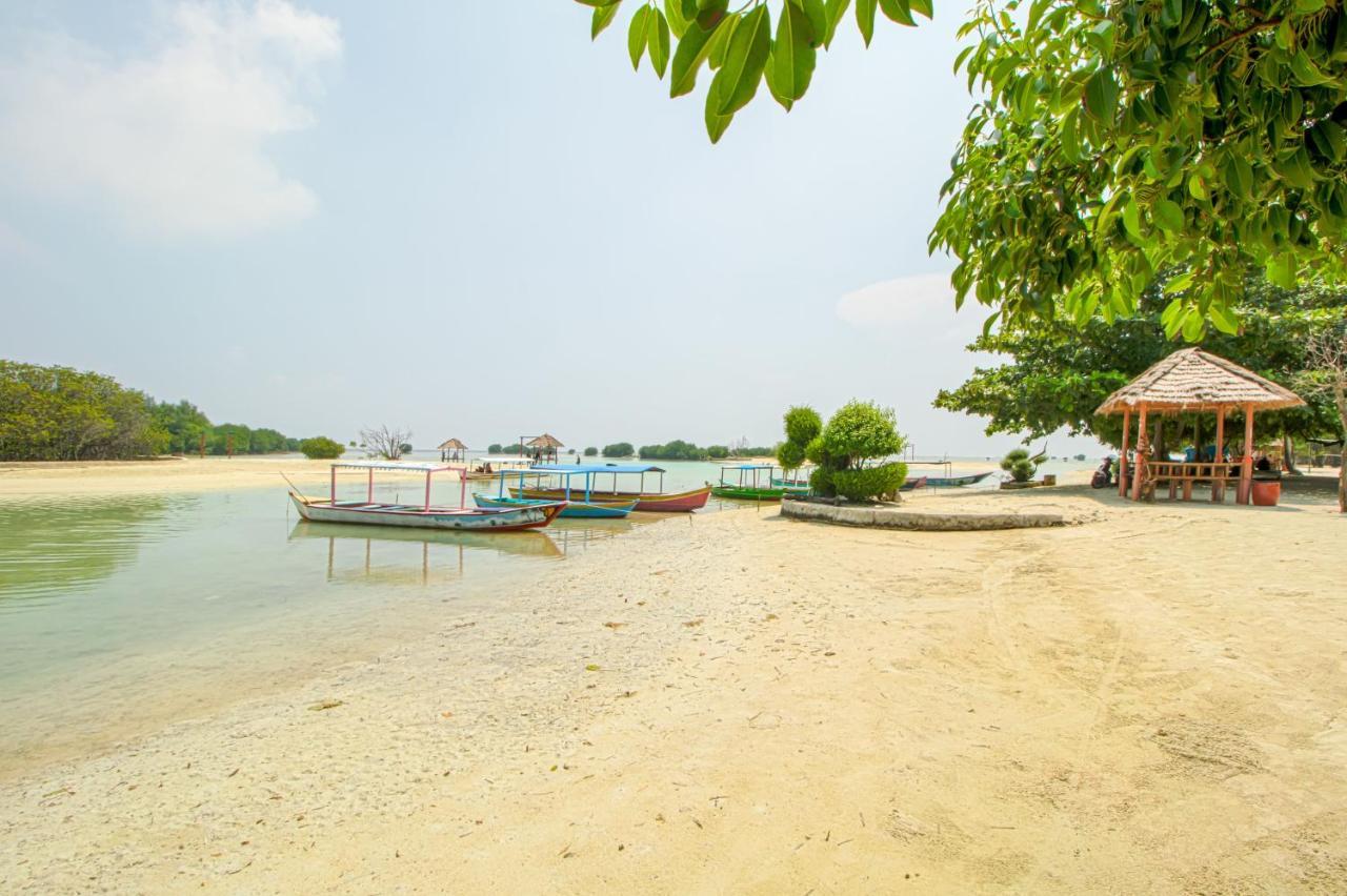 Guerilla Dive Lodge Pulau Pari Jakarta Exterior photo